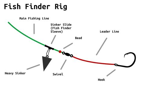 Fish Finder Rig Everything You Need To Know Juran Adventures