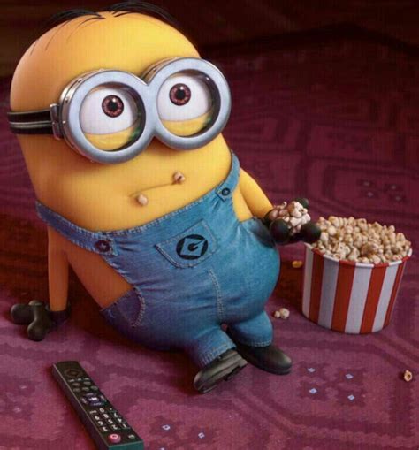 Look At This Face I Want One Minions Minions Funny Cute Minions