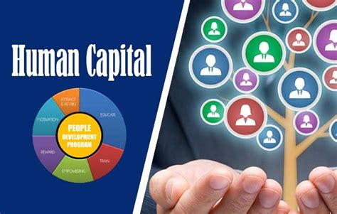5 Jenis Human Capital Yang Penting Bagi Perkembangan Perusahaan