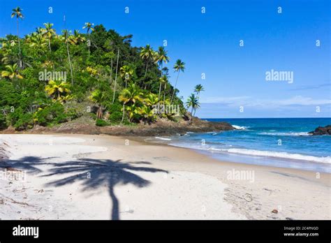 Tropical Beach View Itacare Bahia Brazil Stock Photo Alamy