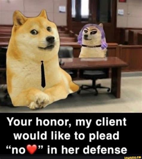 your honor my client would like to plead no in her defense ifunny