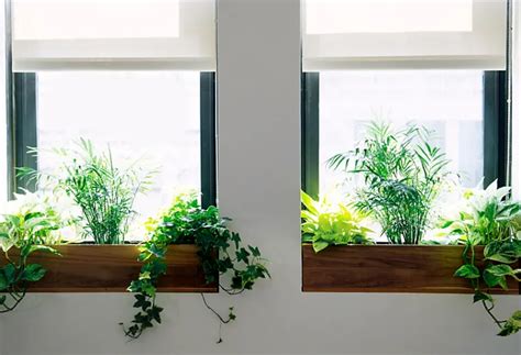 7 Ways To Completely Rethink Your Window Sills Indoor Window Planter
