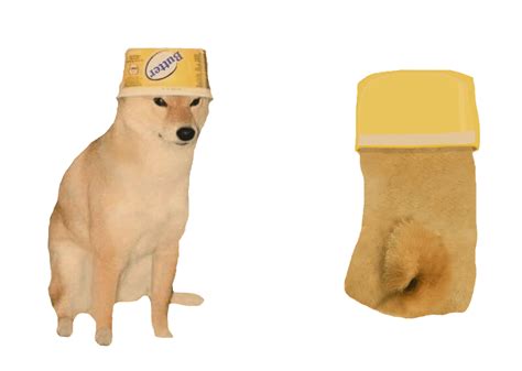 Doge Png Transparent Background Cheems Doge Png Pngrow Skyegallery07