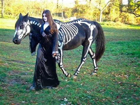 Pin By Daleandsusan Casebolt Bouck On Halloween Horse Horse Halloween