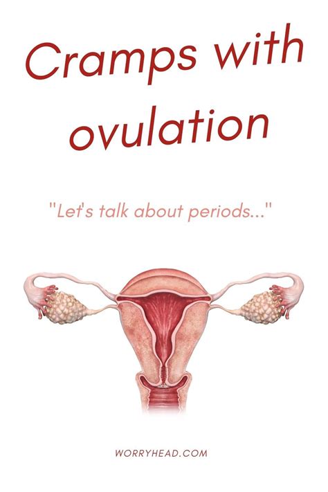 Pin On Ovulation