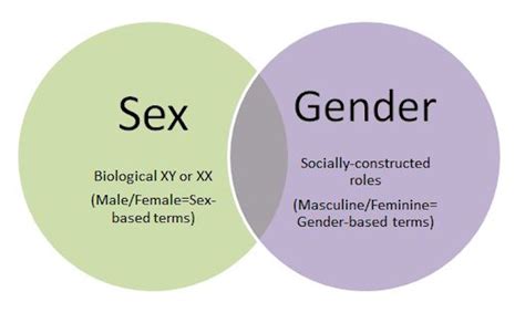Sex And Gender Mogul