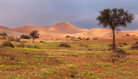 Namibia World Photography Image Galleries By Aike M Voelker