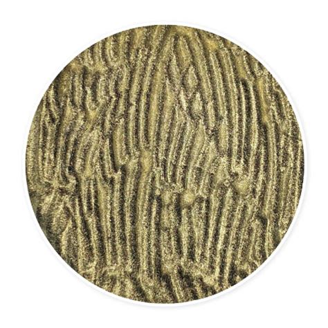 Antique Gold Natural Glimmer Powder From Chef Rubber
