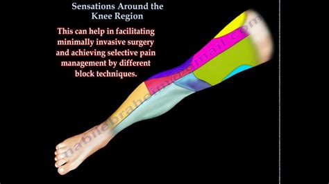 Sensations Around The Knee Region Everything You Need To Know Dr