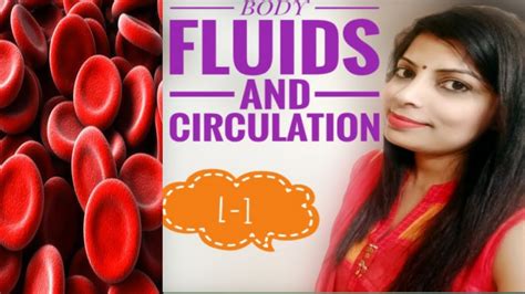 Body Fluids And Circulation Class 11biology Cbse L 1 Youtube