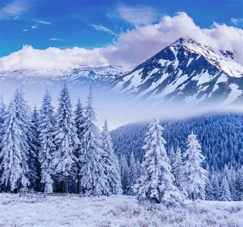 Wonderful Winter Landscape Stock Image Image Of Christmas 69241619