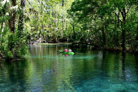 Silver Springs State Park Wild Monkeys And Glass Bottom Boat Tours