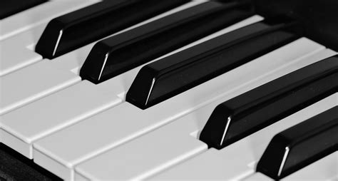 무료 이미지 검정색과 흰색 과학 기술 화이트 검은 단색화 닫기 열쇠 키보드 악기 컴퓨터 키보드 피아노 키보드