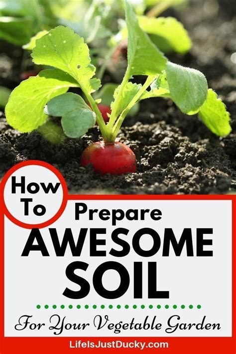 How To Prepare Awesome Soil For Your Vegetable Garden Garden Soil