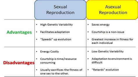 Flowchart For Sexual And Asexual Reproduction Science How Do Organisms Reproduce 10805849