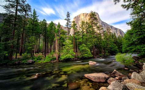 Yosemite National Park In California Usa River Merced Rocks Stones Pine