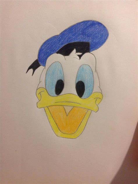 How To Draw Donald Duck Bc Guides