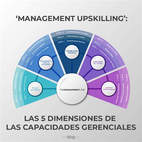 ‘management Upskilling Las 5 Dimensiones De Las Capacidades