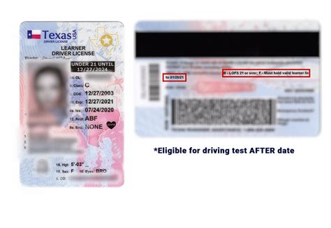 Driver License In Palmview Tx Lgseoseohp