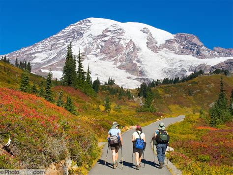 Three Women Hikers Fall Foliage Colors Paradise Valley Skyline Trail Mount Rainier National