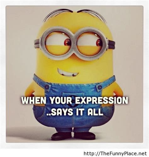 Funny Minion Meme Thefunnyplace