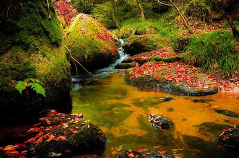 870838 4k Stones Waterfalls Autumn Foliage Stream Rare Gallery