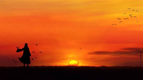 Wallpaper Sunlight Birds Sunset Sea Anime Silhouette Sunrise