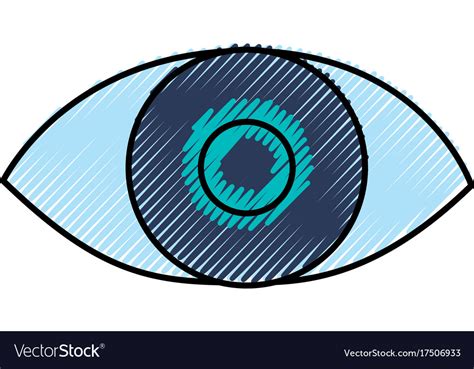 Human Eye Symbol Royalty Free Vector Image Vectorstock