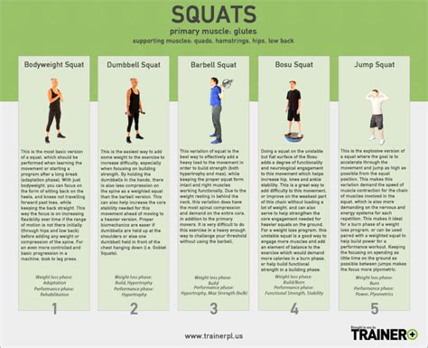 Use This Chart On Squat Progressions To Determine Which Squat Is Best
