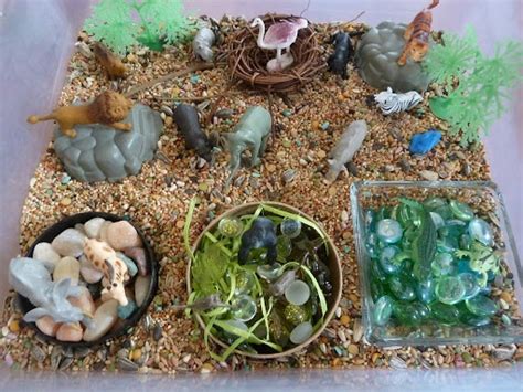 Zoo sensory tub | Kids sensory activities, Sensory bins, Zoo animals
