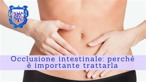 Occlusione Intestinale Perch Importante Trattarla Prof Paolo