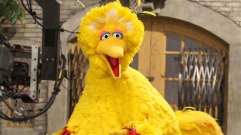Big Bird From Sesame Street Will Break Your Heart With This Story