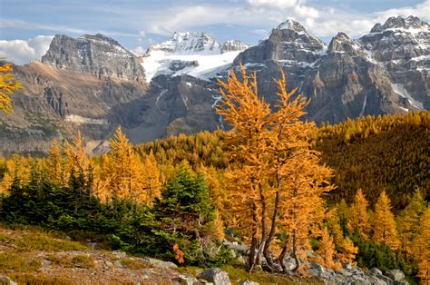 Canada Rocky Mountains Verblijf In Banff National Park Snp Natuurreizen
