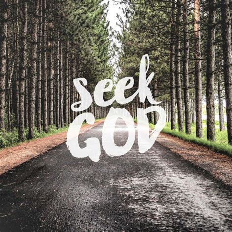 Seek God Part 2 Pocket Fuel Daily Devotional Seeking God Daily