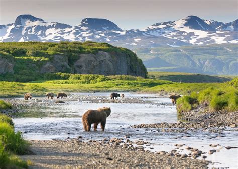 Visit Katmai National Park On A Trip To Alaska Audley Travel