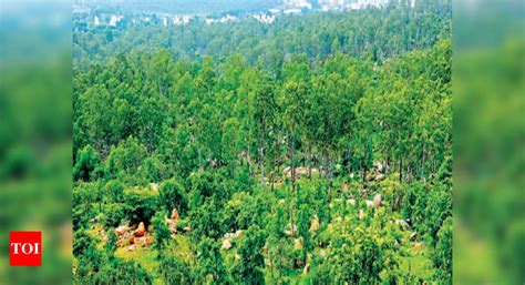 About 40 Lakh Acres Forest Land Surveyed So Far In The State