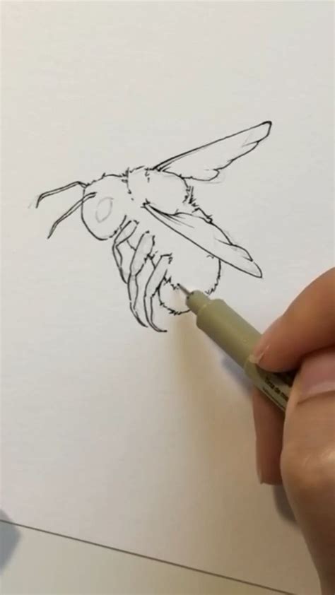 How To Draw A Realistic Bumble Bee Artofit
