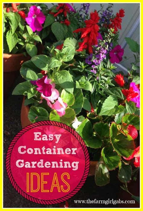 Container Gardening 101 Tips And Tricks To Grow The Most Beautiful