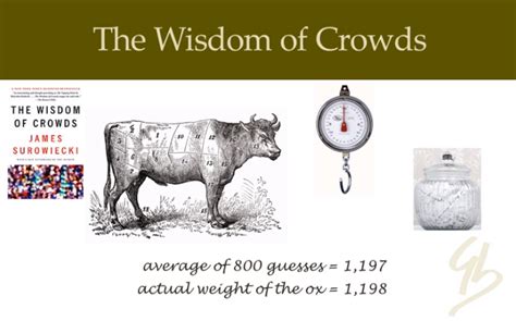 Video The Wisdom Of Crowds