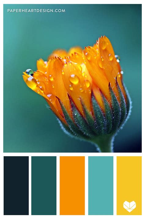 Marigold Orange Teal Color Palette Color Palette Design Teal Color
