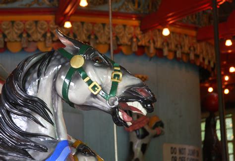Carousel Horse Ive Always Been Afraid Of Carousels Carou Flickr