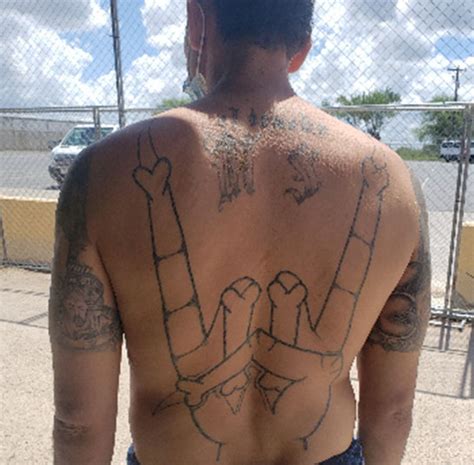 rgv border patrol arrests two mara salvatrucha gang members texas border business
