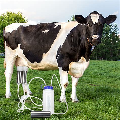milking machine for cow or sheep portable electric vacuum pump cow sheep milker milking machine