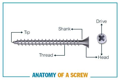 A Complete Guide On Wood Screws Types Of Screws