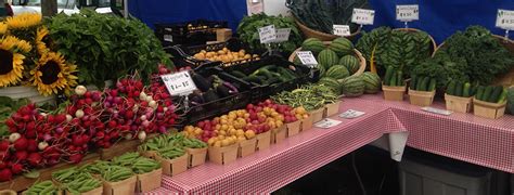 Springs farm is dedicated to growing the best strawberries, peaches, and garden produce around. Second Spring Farm - Organic Farming in Northern Michigan