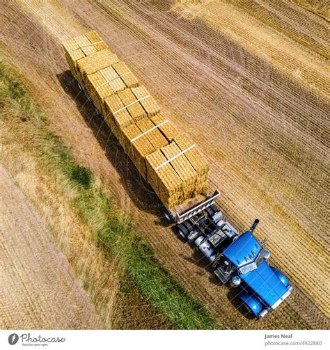 Fresh Cut Hay Bales Being Loaded A Royalty Free Stock Photo From
