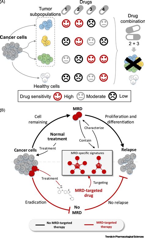 Single Cell Techniques And Deep Learning In Predicting Drug Response