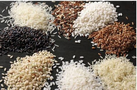 Exploring Rice One Of The Most Versatile Foods In The World