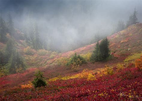 Autumn Paradise North Cascades National Park Washington Anna