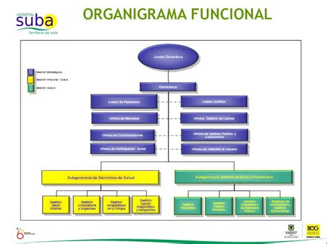 Tipos De Organigramas Organigrama Funcional